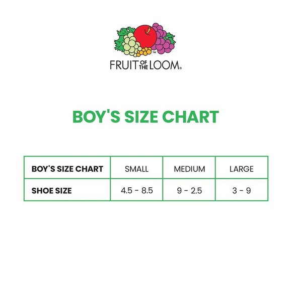 NEW Fruit Of The Loom 10 Pairs Dual Defense Wicking Odor Protection No Show Sock - Picture 5 of 5